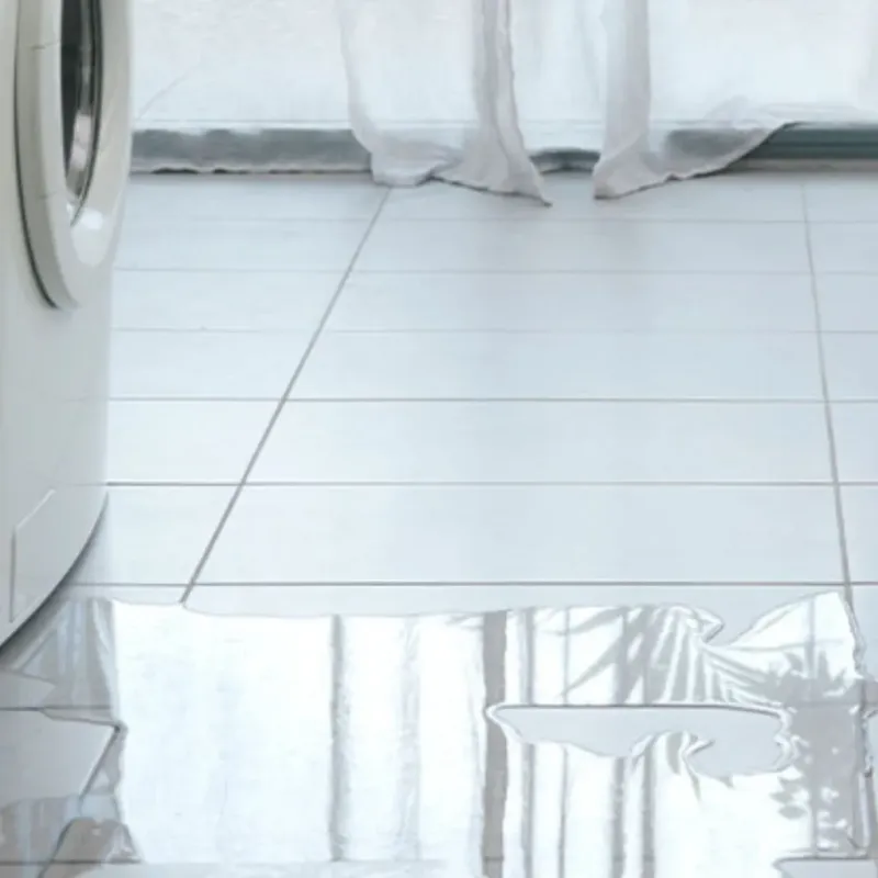 Appliance Leak Cleanup in Lonoke, AR
